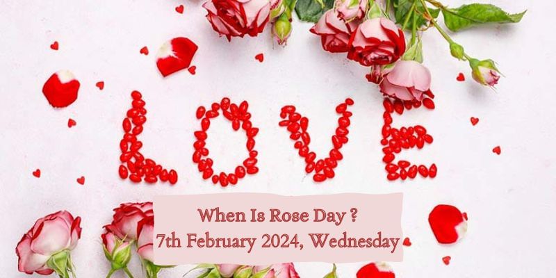 Rose Day 2024 : Date, History, Significance & All Details